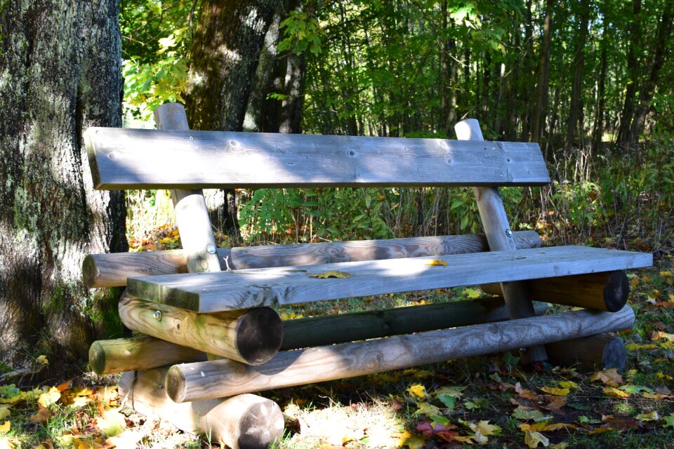 Rustic break nature