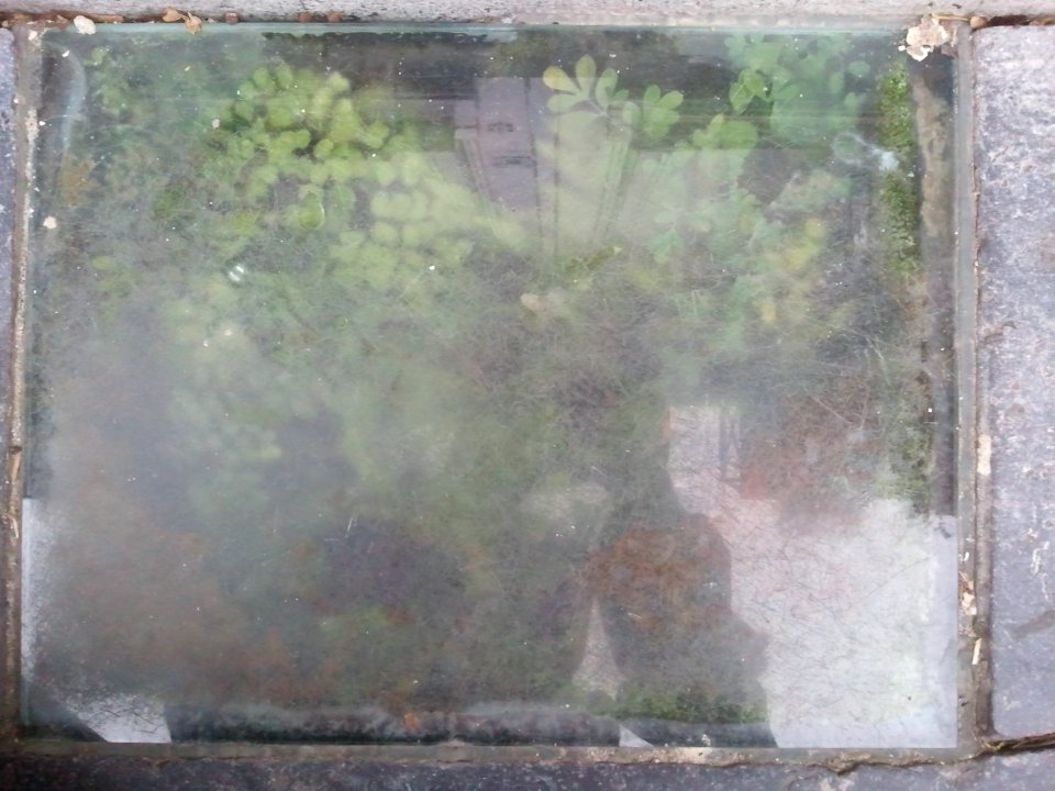 2012-02-03%2007.03.53 