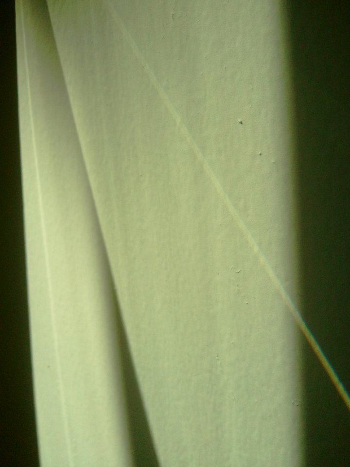 2012-03-04%2012.58.12 