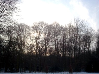 2012-02-05%2003.55.46 