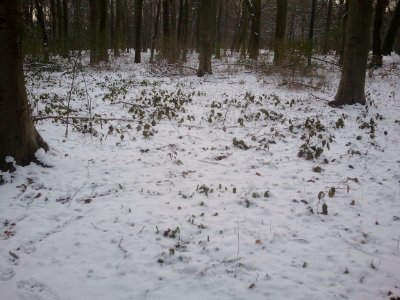 2012-02-05%2003.59.40 