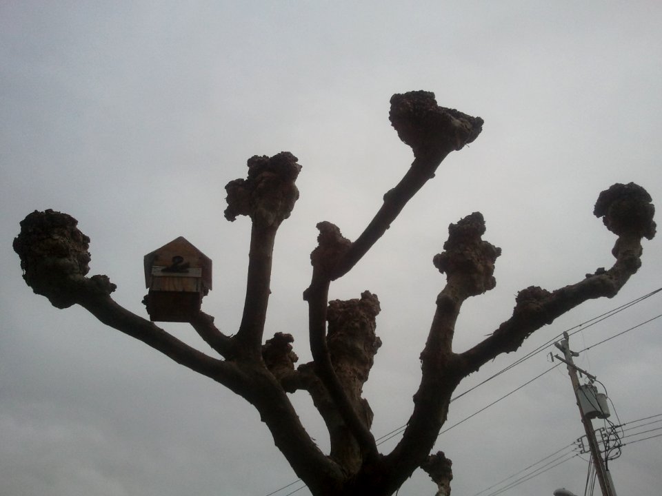 2012-02-10%2011.11.08 