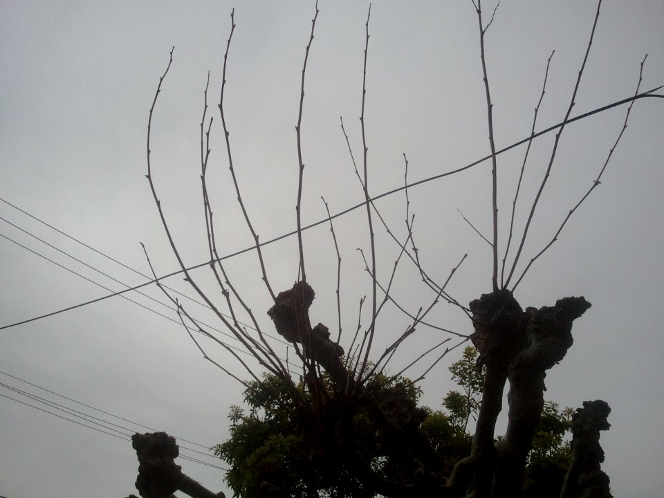 2012-02-10%2011.11.29 