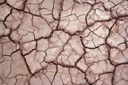 Barren mud pattern photo