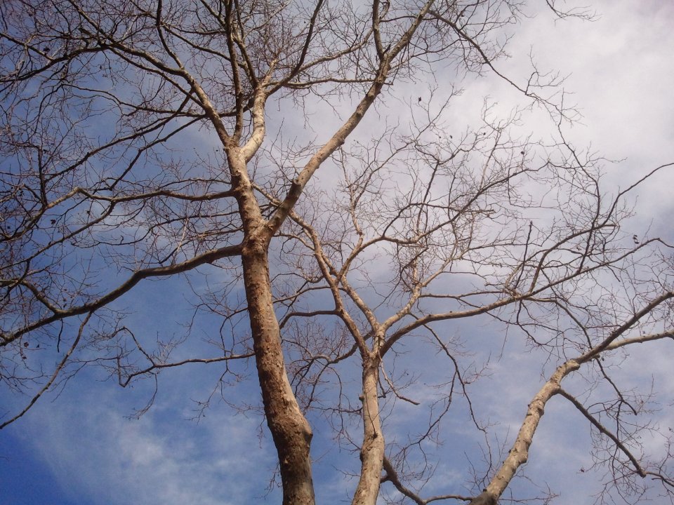 2012-02-18%2011.48.40 