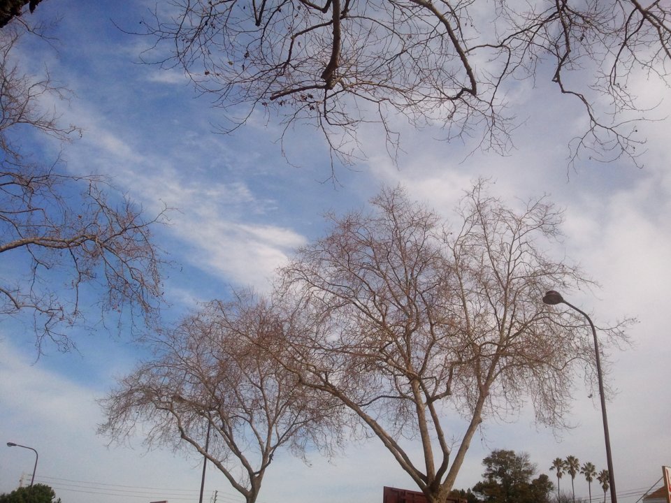 2012-02-18%2011.48.03 