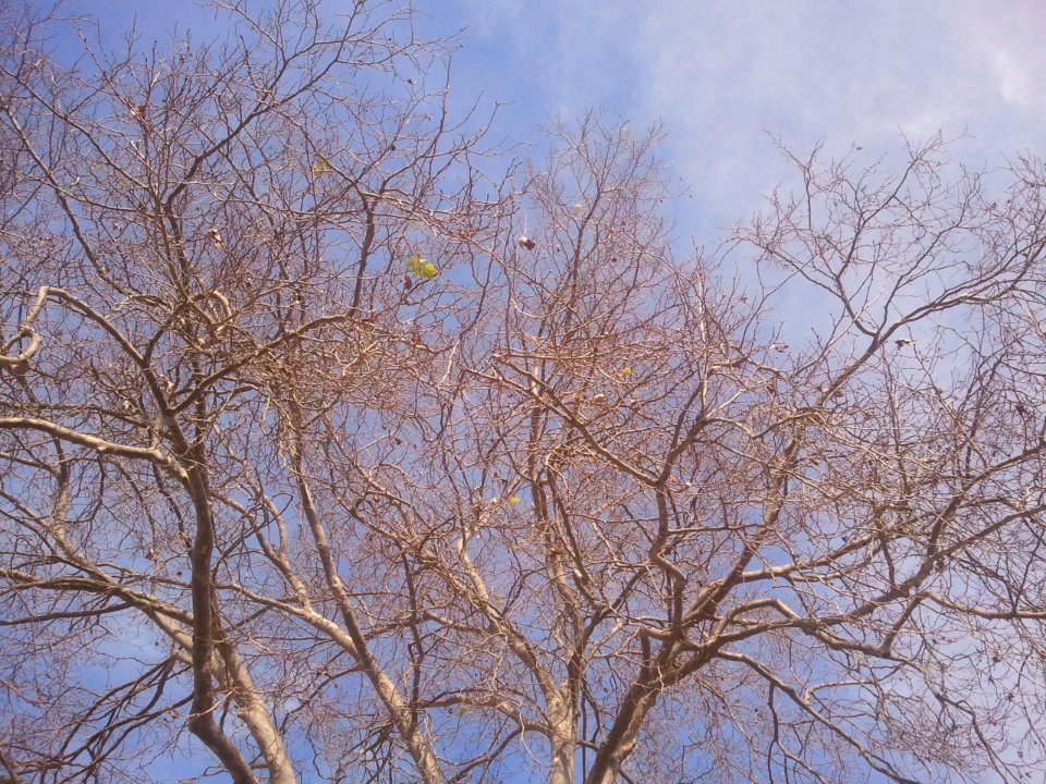 2012-02-18%2011.56.07 