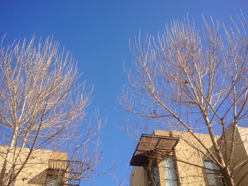 2012-02-18%2013.54.37 