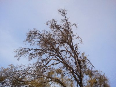 2012-04-07%2011.12.48 