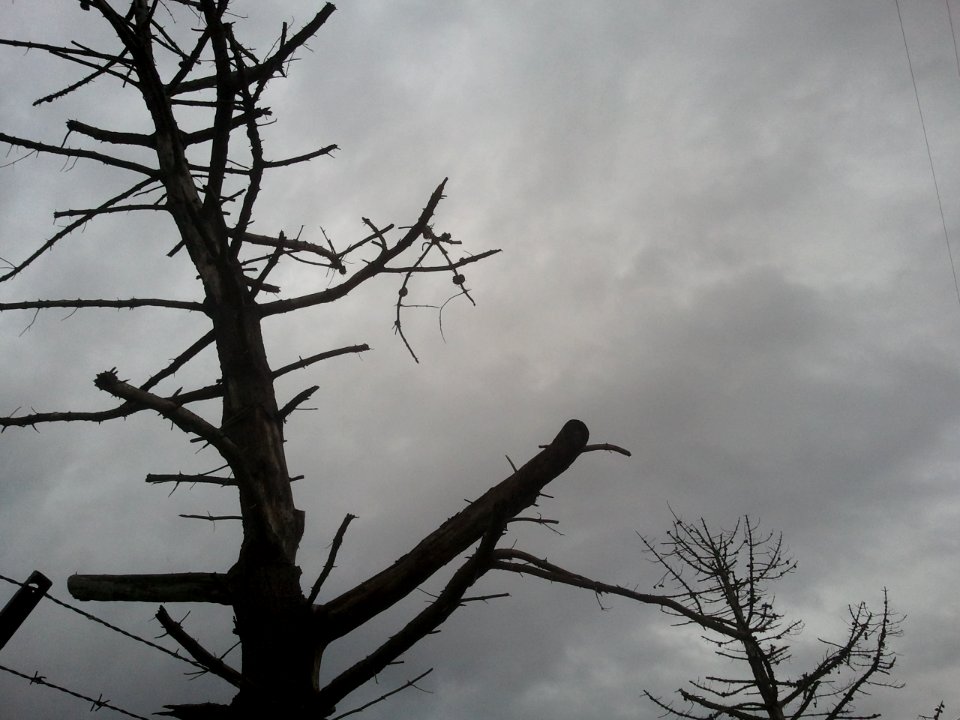 2012-04-12%2015.29.41 