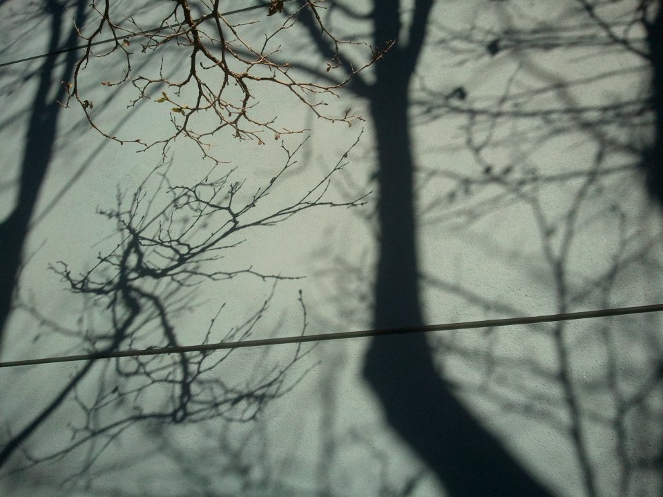 2012-02-24%2010.19.37 