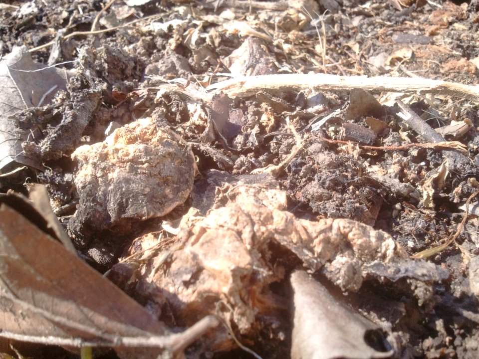 2012-03-03%2010.56.12 