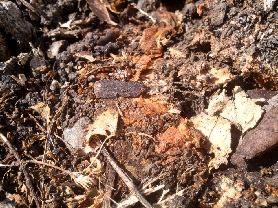 2012-03-03%2010.56.45 