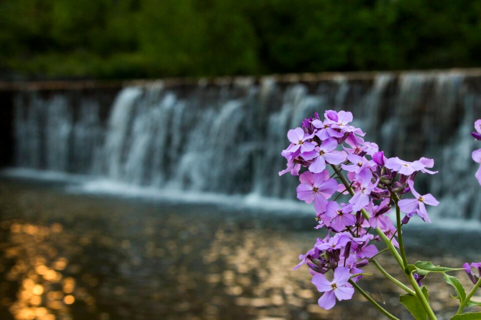 Water nature natural