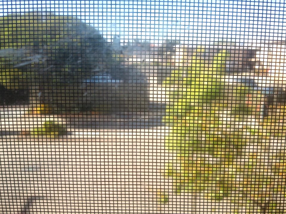 2012-04-19%2016.30.57 