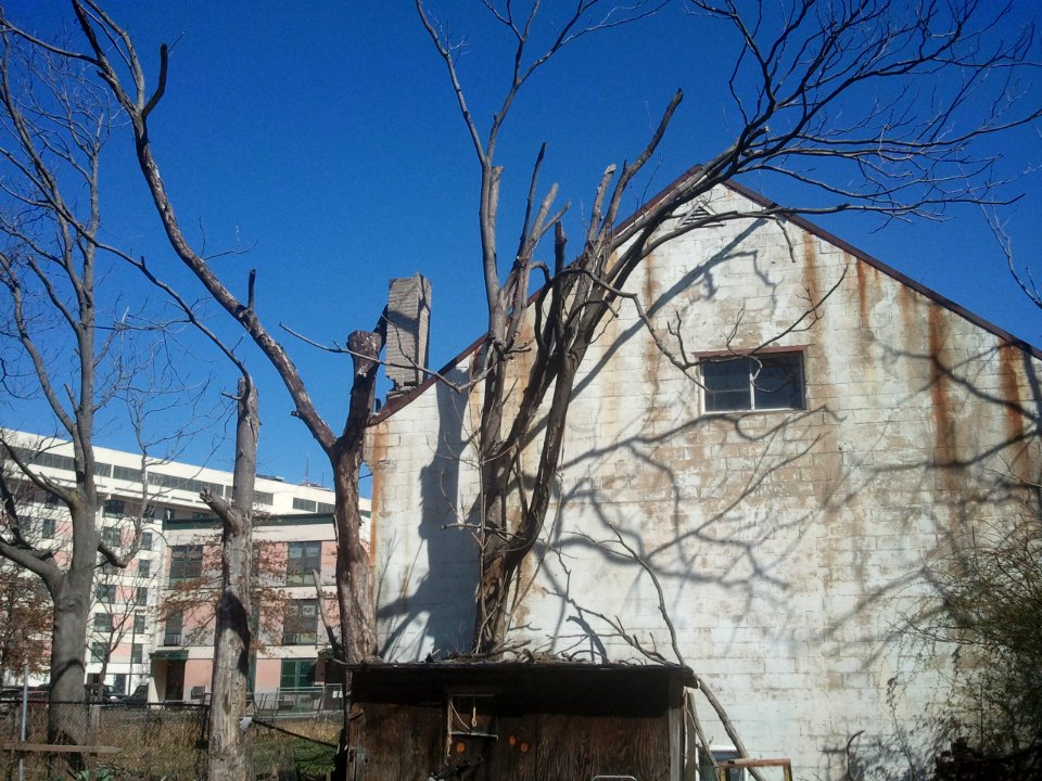 2012-03-23%2012.07.34 