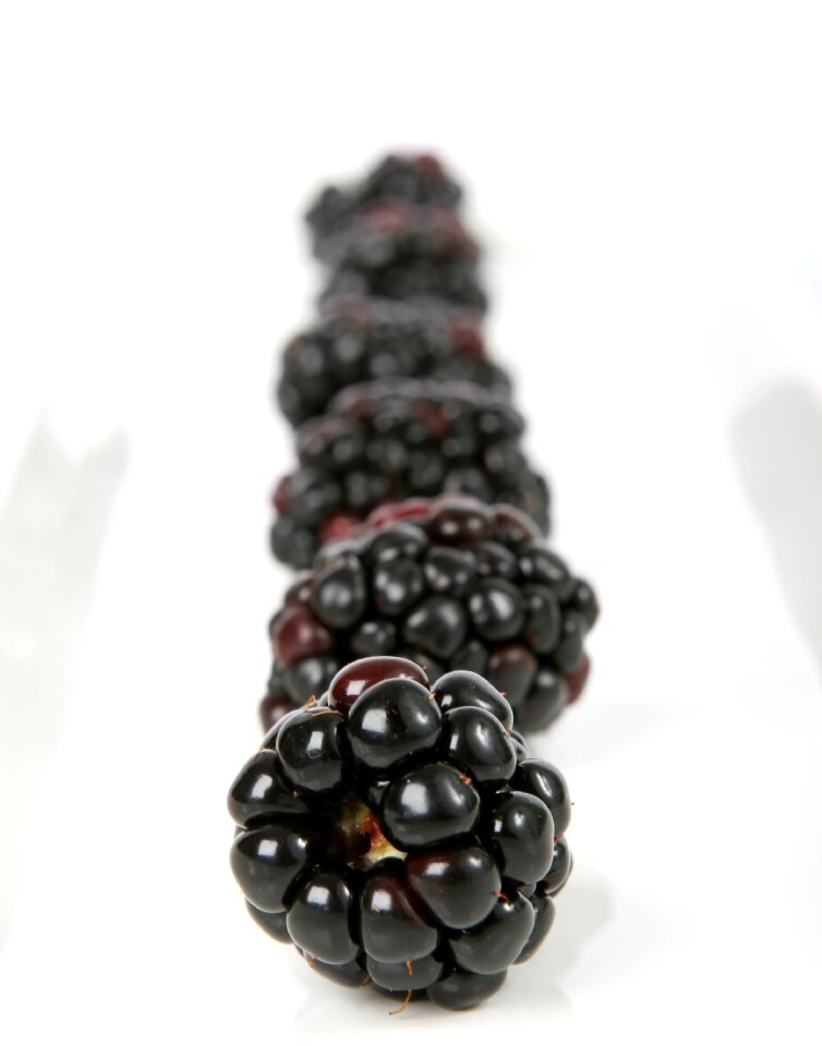 Blueberry breakfast cherry