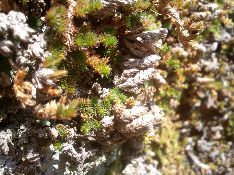 2012-04-07%2012.58.48 