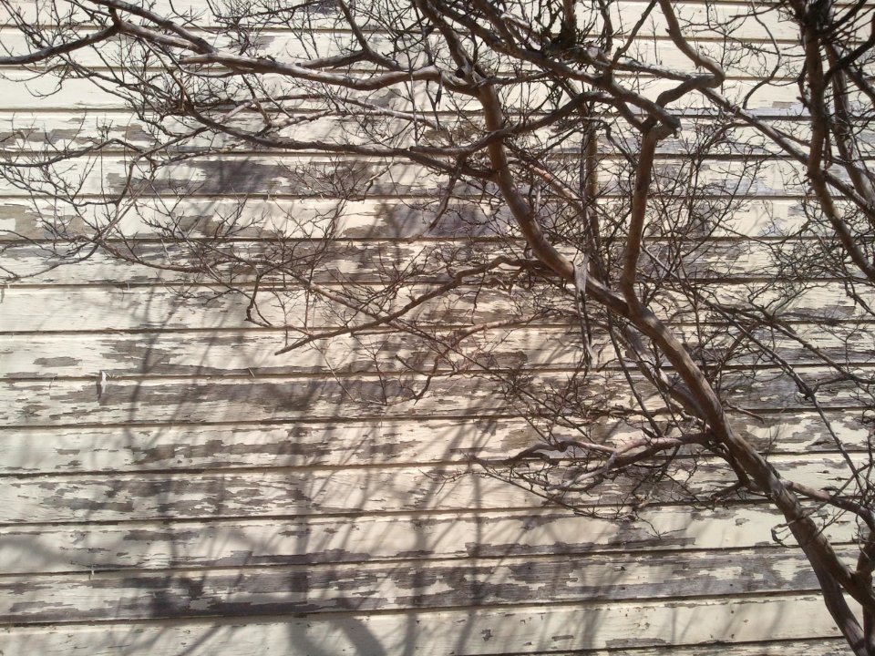 2012-04-08%2010.44.37 