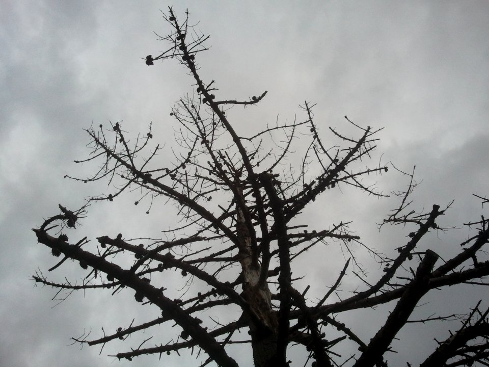 2012-04-12%2015.31.54 