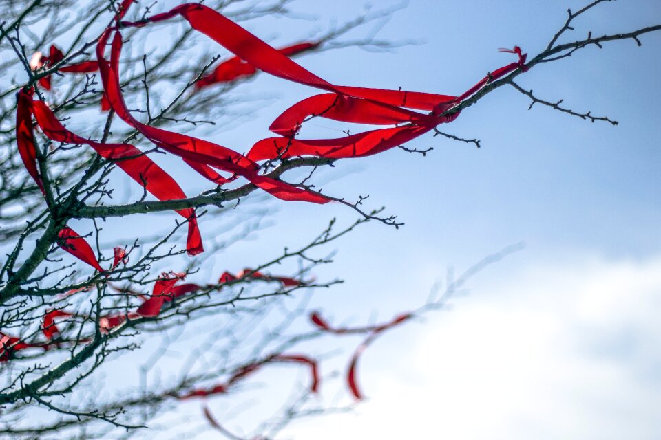 Red tape section tree