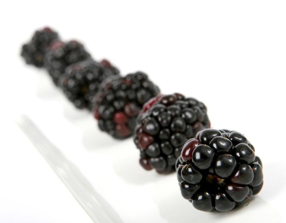 Blueberry breakfast closeup