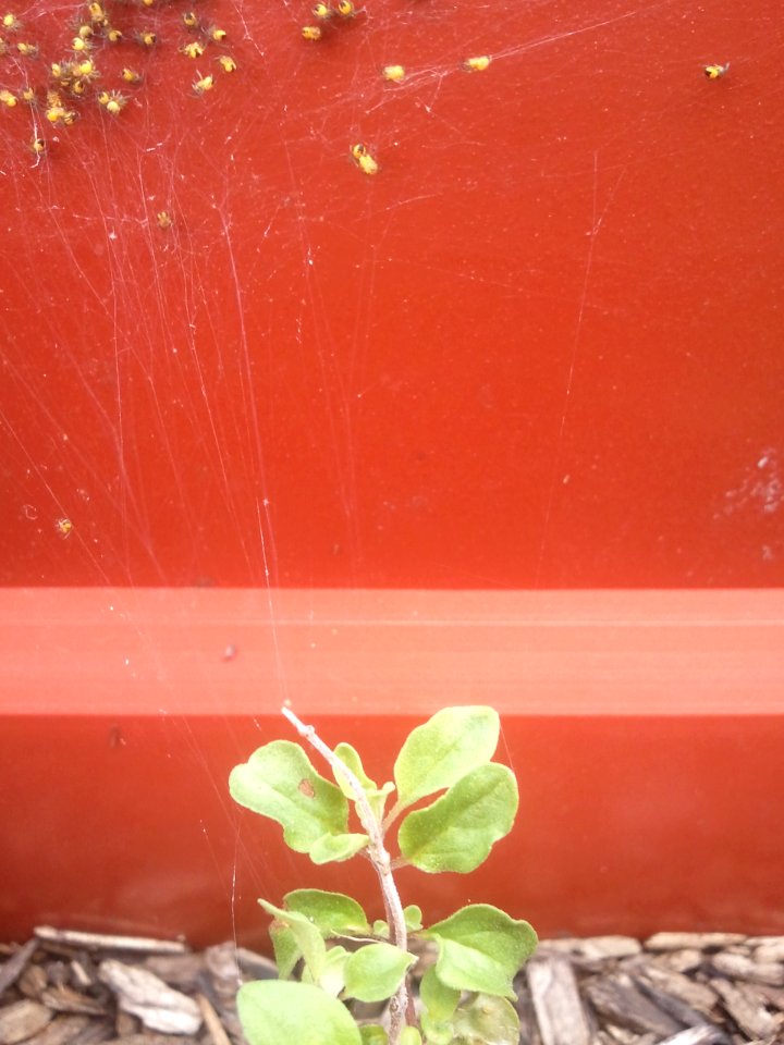 2012-04-23%2015.09.00 