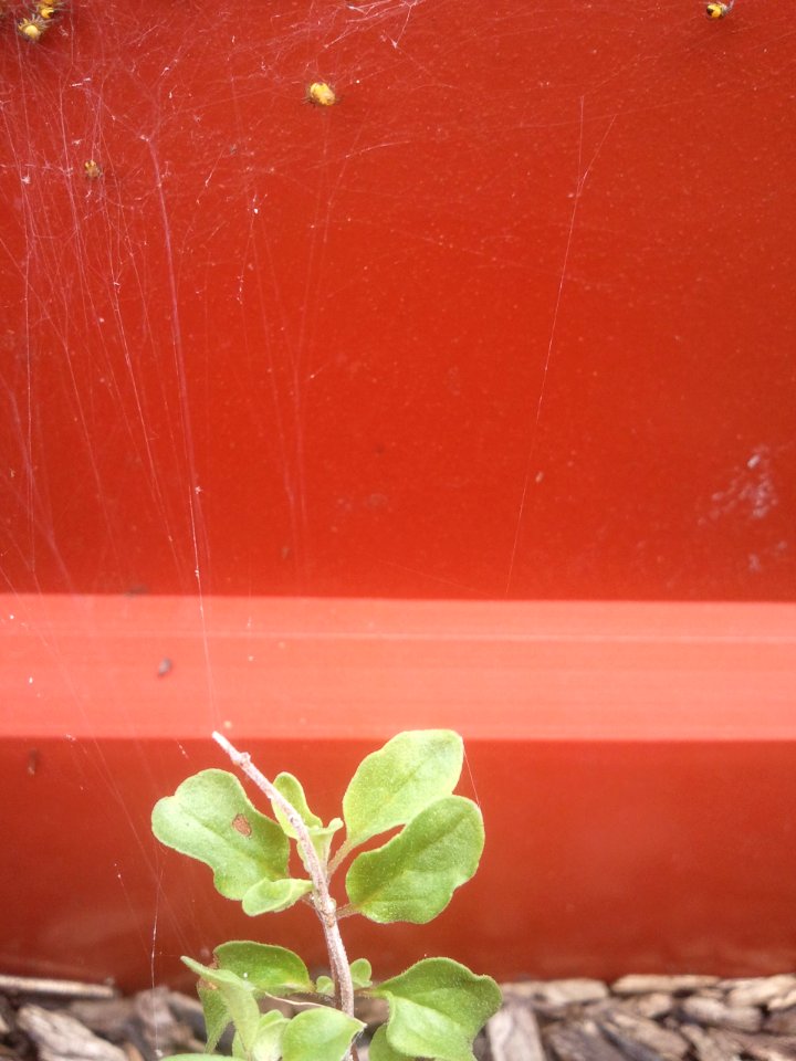 2012-04-23%2015.09.18 