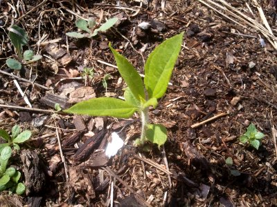 2012-04-26%2010.51.39 