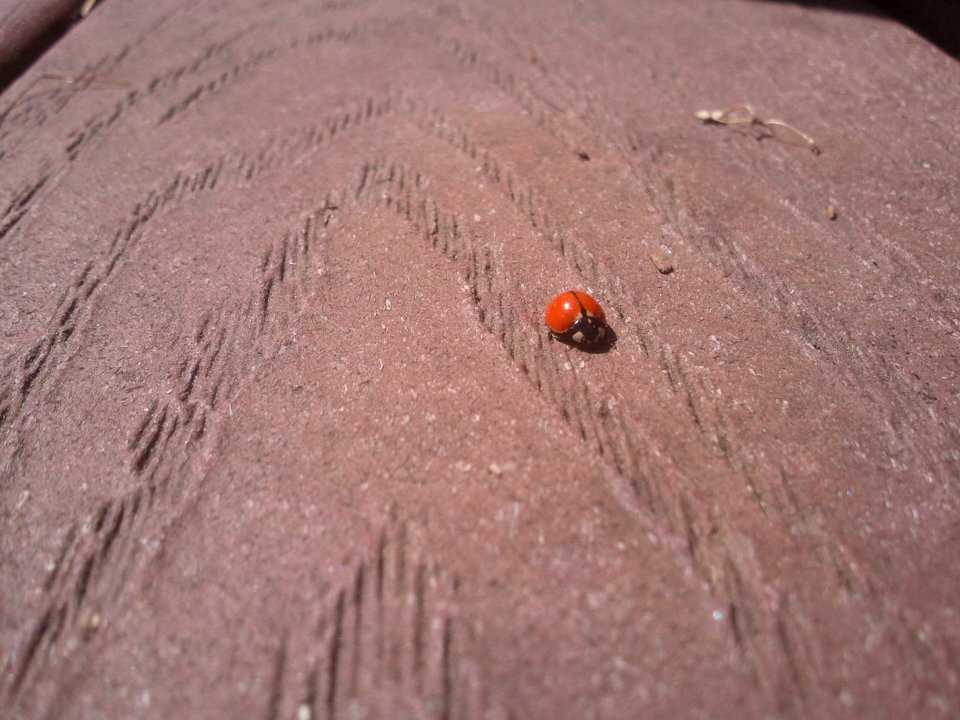 2012-04-30%2011.01.05 