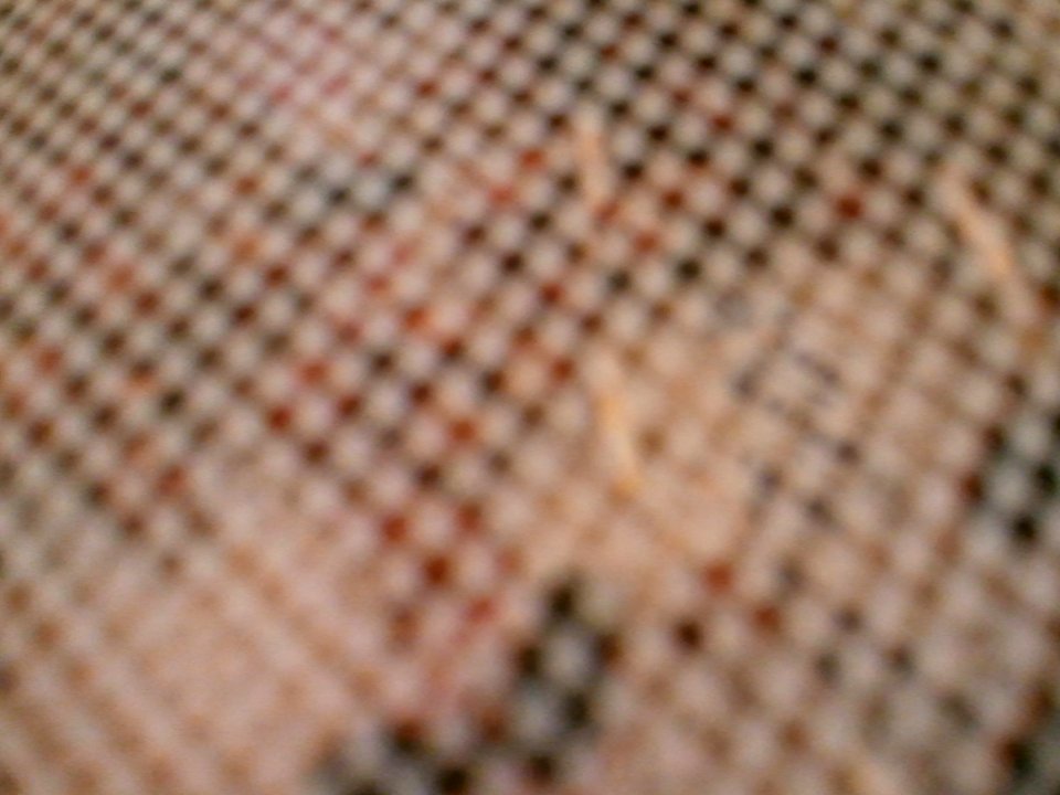 2012-06-02%2020.39.08 
