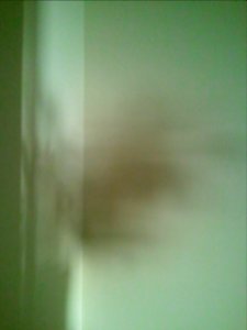 2012-05-14%2019.37.29 