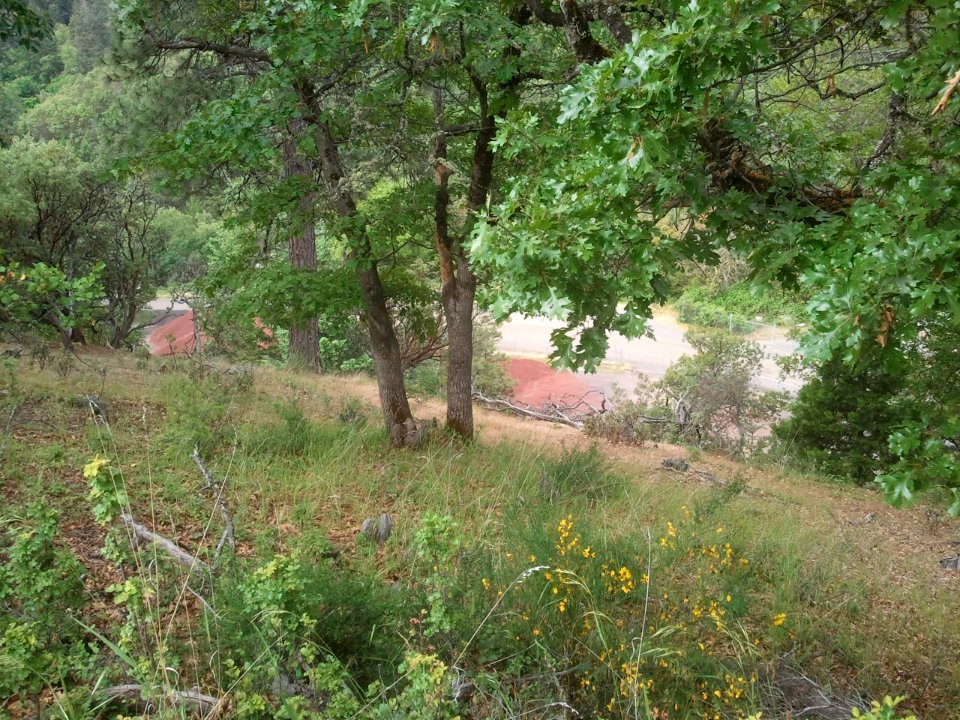 2012-05-28%2009.25.01 