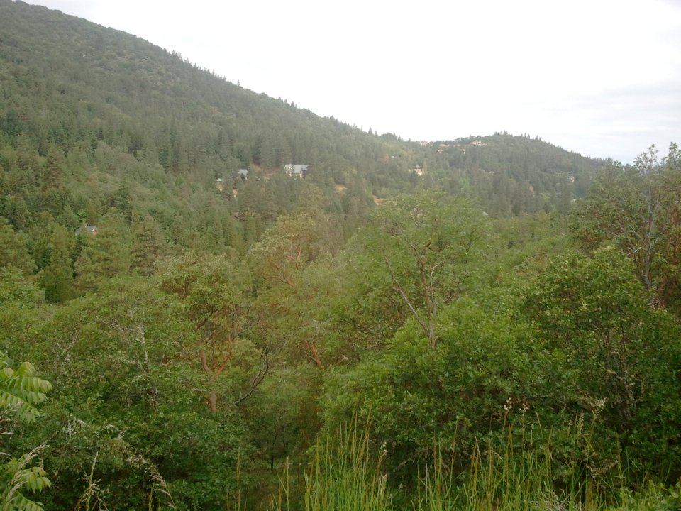 2012-05-28%2009.30.25 