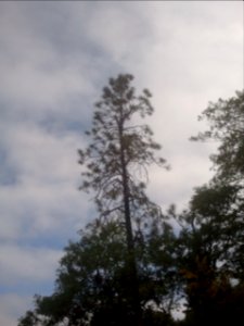 2012-05-28%2009.38.47 