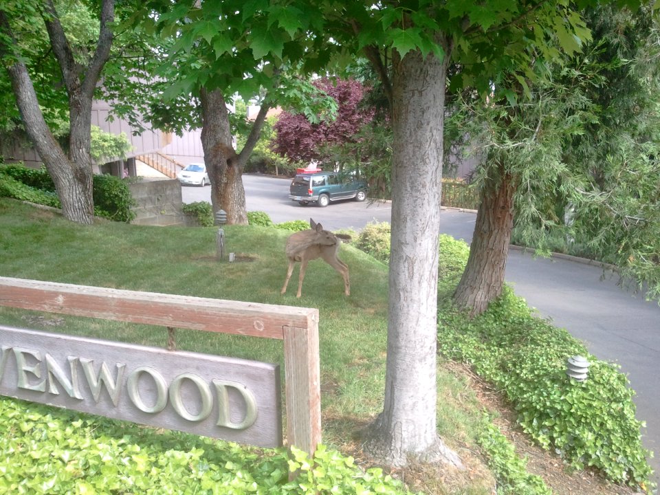 2012-05-28%2009.50.12 
