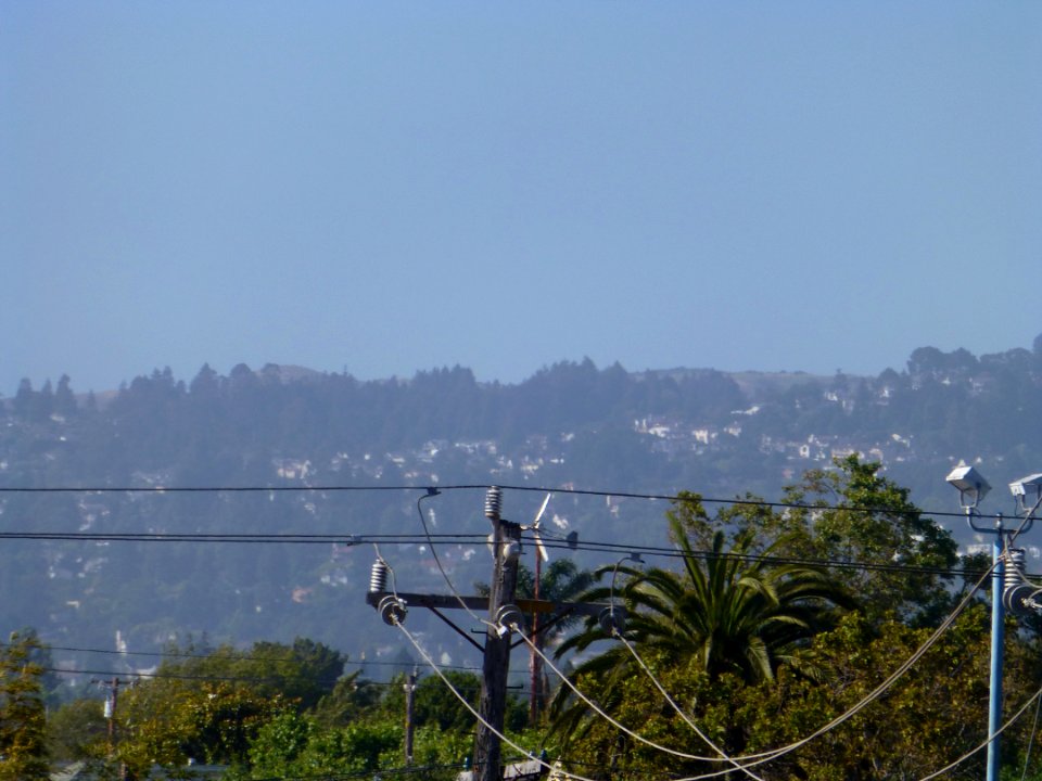 P1000013 