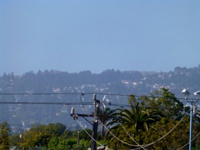 P1000013 