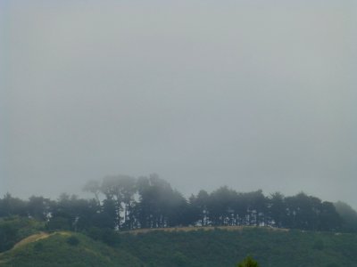 P1000051 