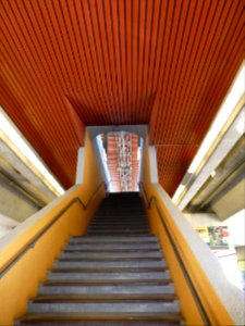 P1000063 