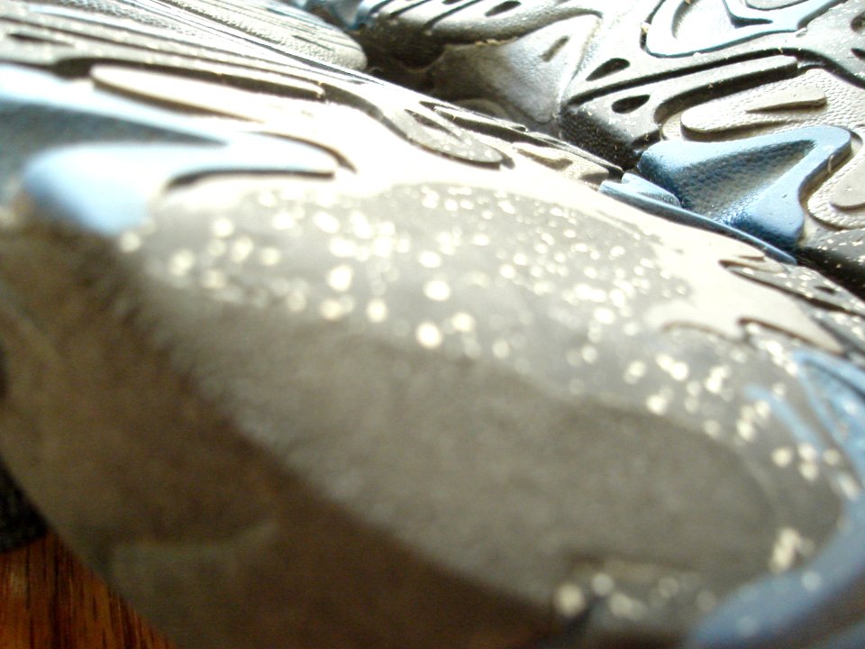 dsc01583.jpg 