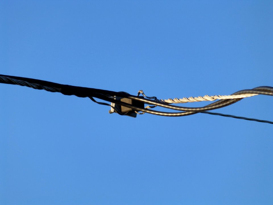 P1000119 
