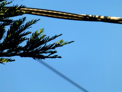 P1000120 