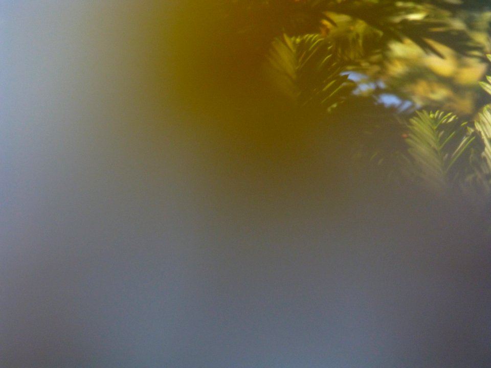 P1000122 