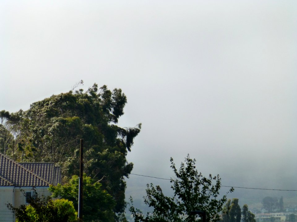 P1000138 