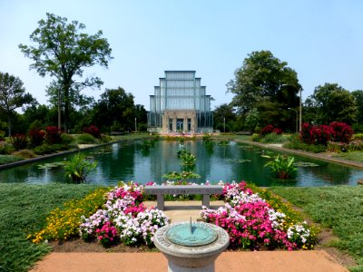 P1000195 
