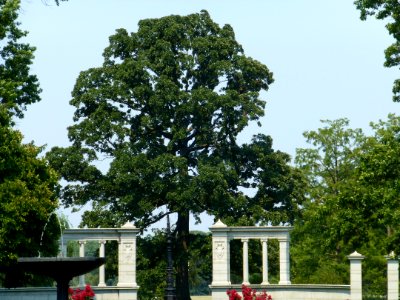 P1000204 