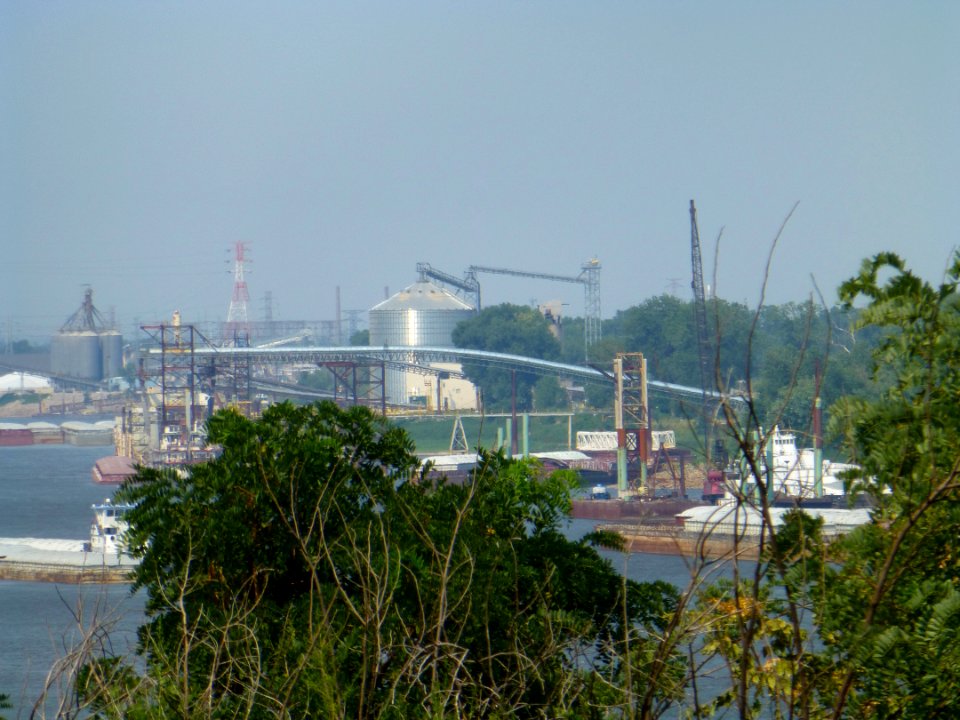 P1000213 