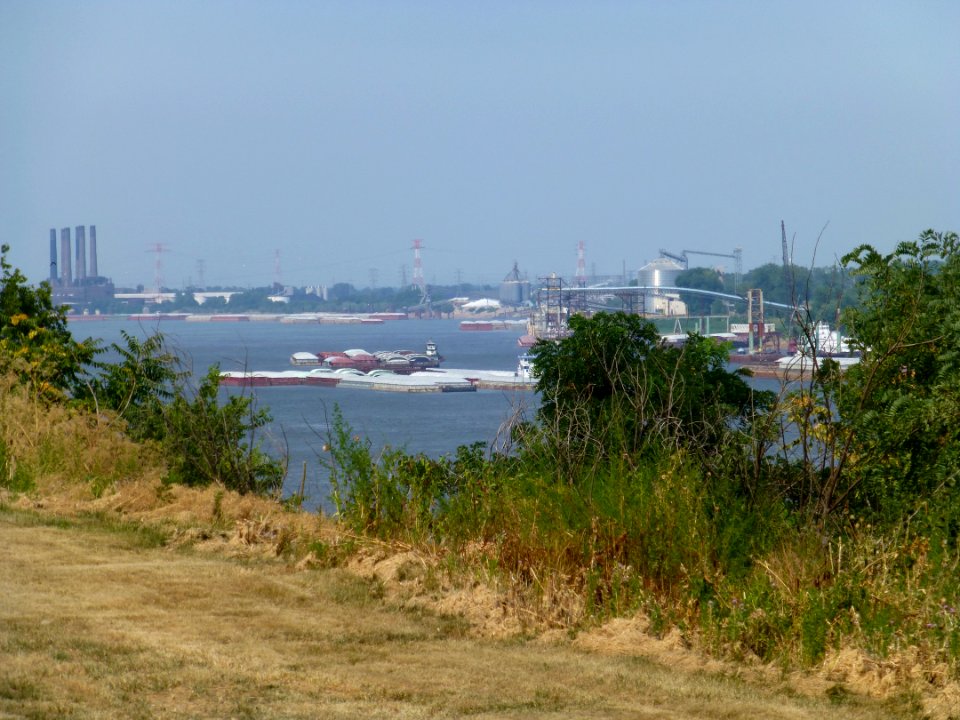 P1000214 