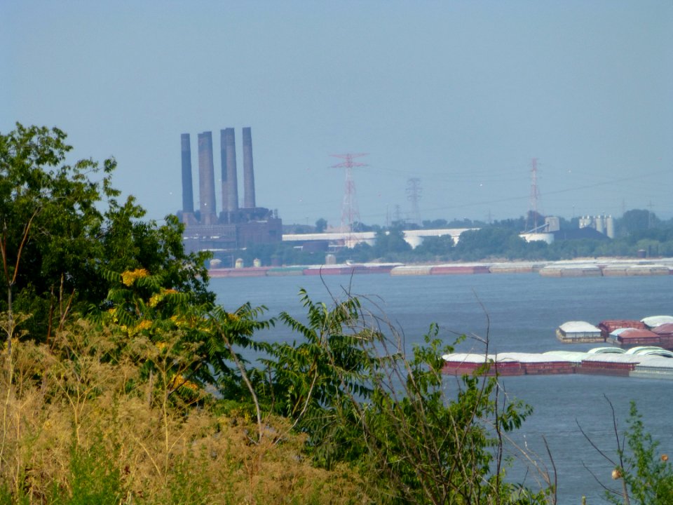 P1000215 